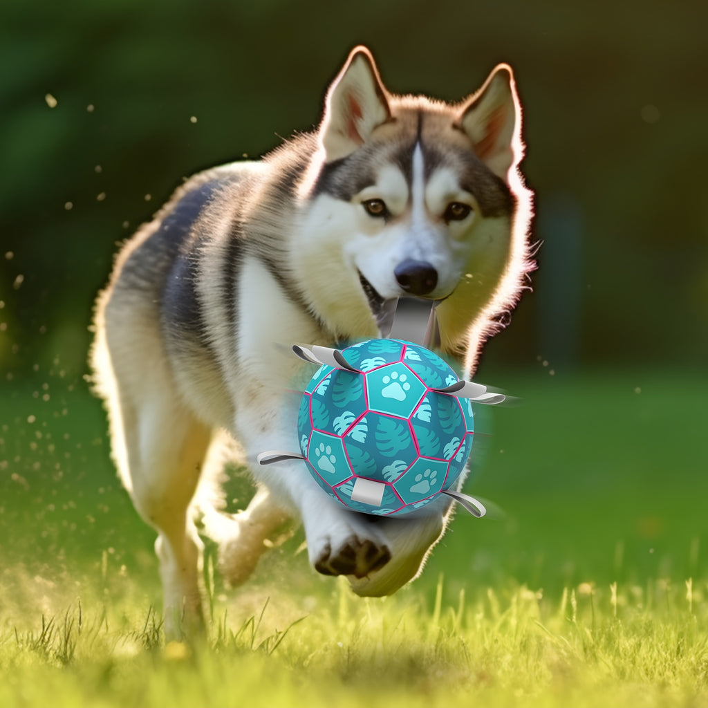 [Interactive Football Dog Toys] Durable Lake Blue Dog Toys Soccer Balls with Straps | Interactive Football for Tug of War | Indoor/Outdoor Puppy Toy for Small/Medium Breed