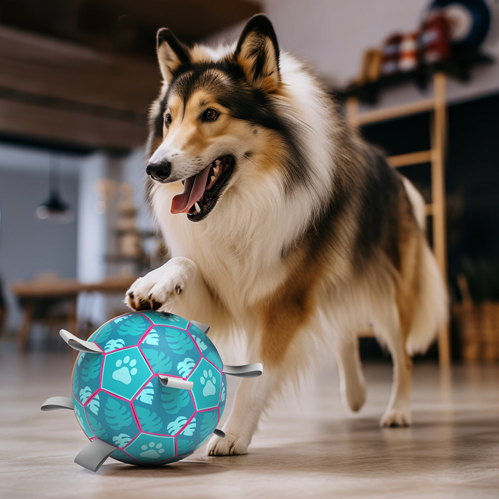 [Interactive Football Dog Toys] Durable Lake Blue Dog Toys Soccer Balls with Straps | Interactive Football for Tug of War | Indoor/Outdoor Puppy Toy for Small/Medium Breed