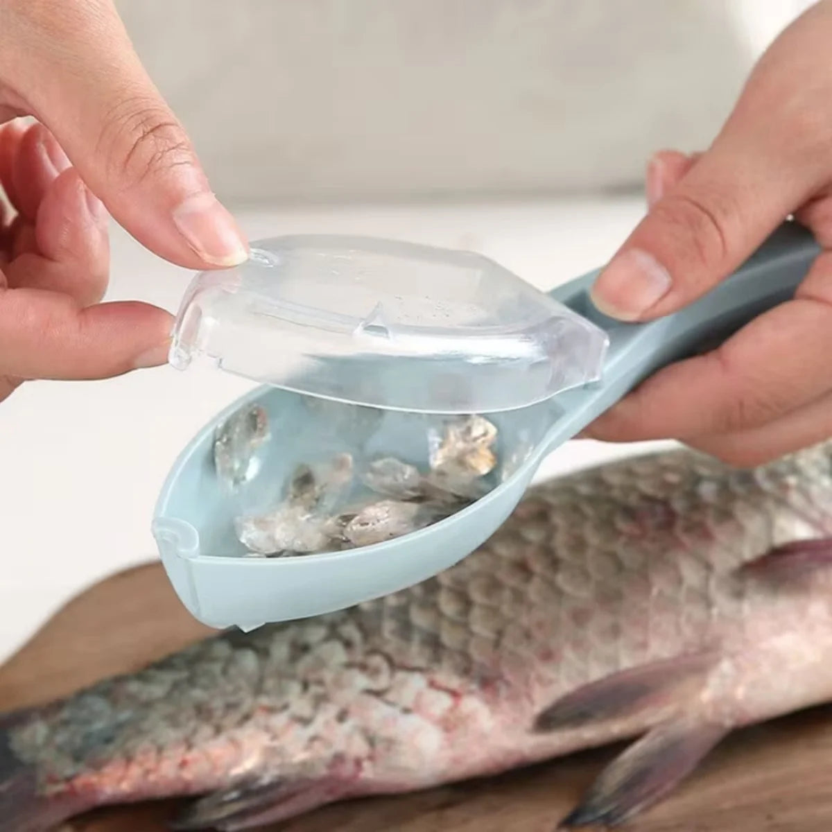 Fish Scales Graters Scraper Fish Cleaning Tool Scraping Scales Device with Cover Home Kitchen Cooking Fishing Tool Pesca Tackle
