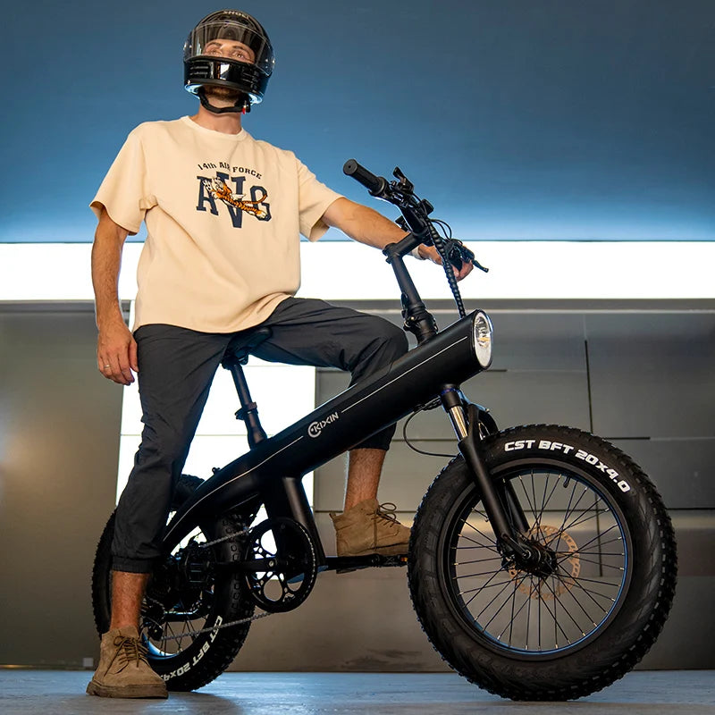OEM/ODM Ebike Factory 20inch Folded E-bike Electric Bicycle Fat Tire off Road City Ebike Mountain Dirt Electric Bike