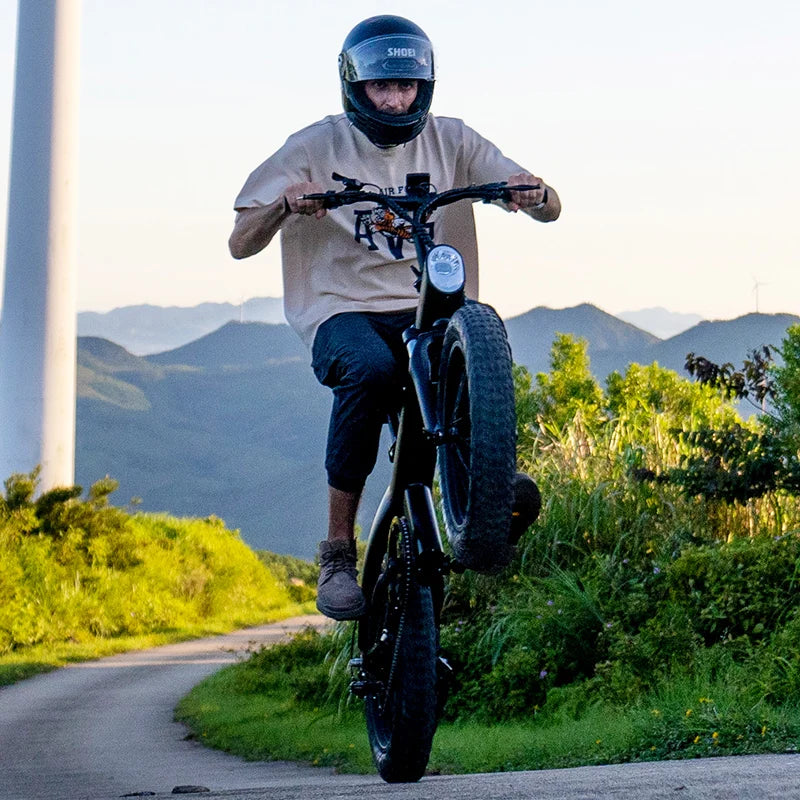 OEM/ODM Ebike Factory 20inch Folded E-bike Electric Bicycle Fat Tire off Road City Ebike Mountain Dirt Electric Bike