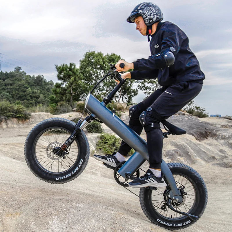 OEM/ODM Ebike Factory 20inch Folded E-bike Electric Bicycle Fat Tire off Road City Ebike Mountain Dirt Electric Bike