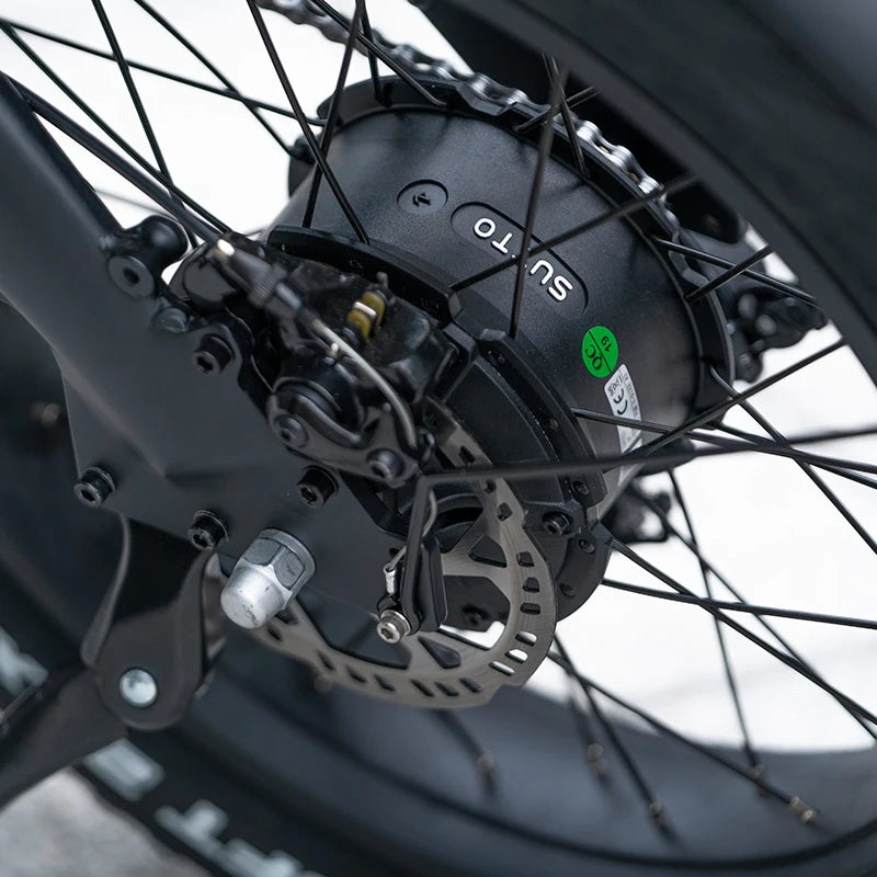 E-bicycle Bikes Mountain E-bike 20inch Fat Tire Fatbike Ebike Bicycle Electric Bike Electrica Electric City Bike for Sale