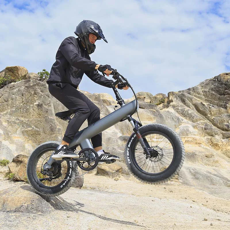 ONYX Off-Road 20-Inch Adult Electric Mountain Bicycle Rear Hub Aluminum Alloy 750W Brushless Lithium Battery 60 km Range