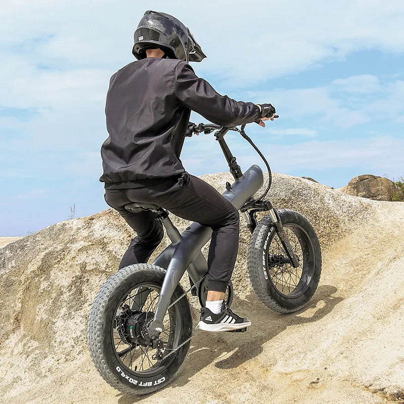 OEM/ODM Ebike Factory 20inch Folded E-bike Electric Bicycle Fat Tire off Road City Ebike Mountain Dirt Electric Bike