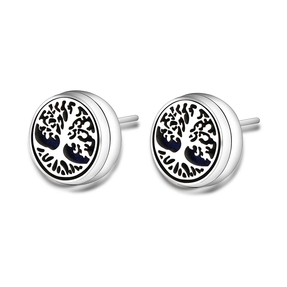 New Aromatherapy Ear Studs Earrings Stainless Steel Spiral Open Perfume Locket Angel Wings Fashion Women Earrings 2022 Jewelry