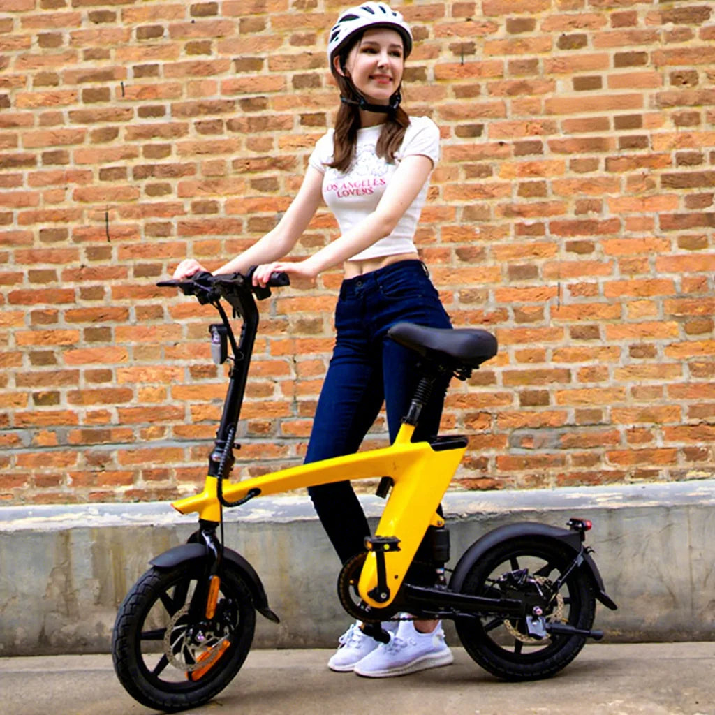 Eu Usa Uk Warehouse Electric Bike Rechargeable Battery 36v 250w 14 Inch Cargo Bike Electric Ebike E-cargo Family E Bicycle