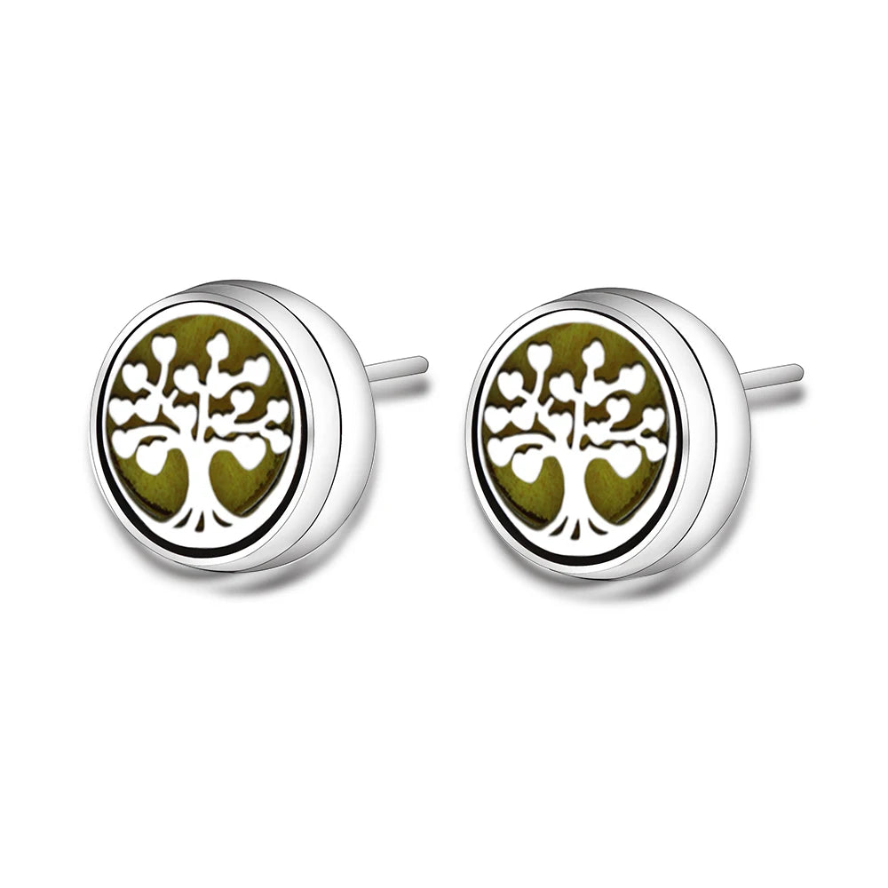 New Aromatherapy Ear Studs Earrings Stainless Steel Spiral Open Perfume Locket Angel Wings Fashion Women Earrings 2022 Jewelry