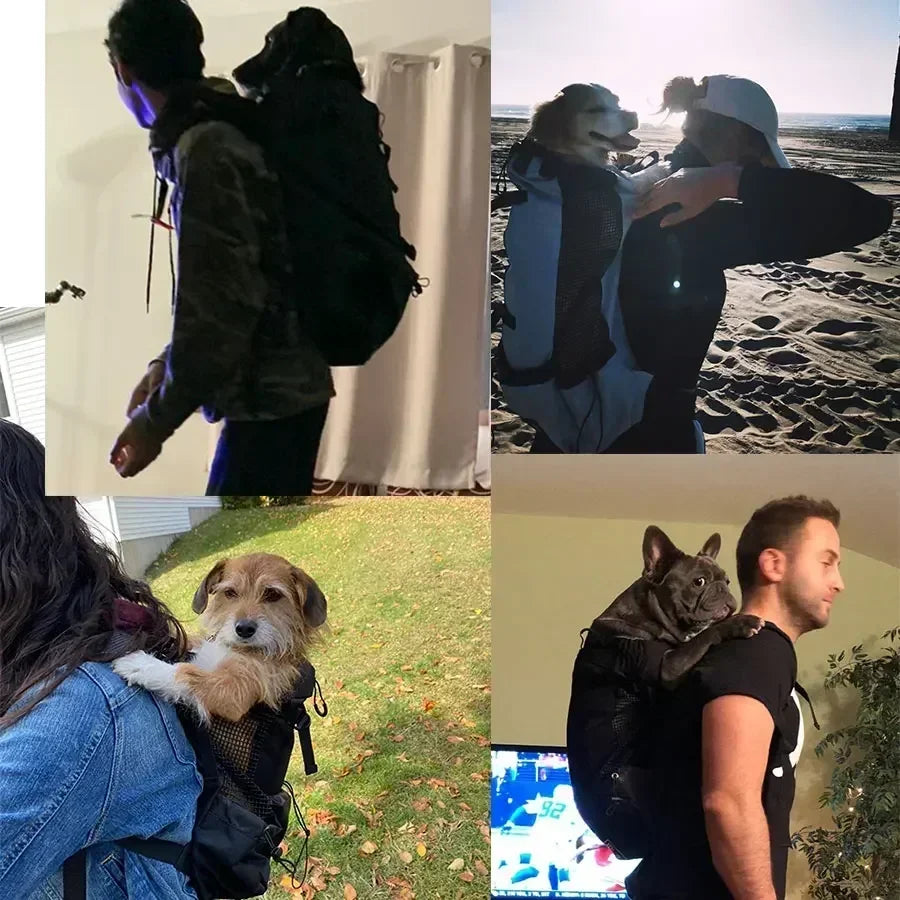 Adjustable Durable Dog Backpack Carrier Breathable Large Size Outdoor Bag Hiking Camping Travel Use for Medium Large Pet Breeds