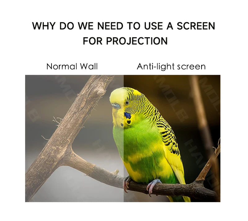 Portable Projector Screen 16:9 Foldable Projection Screens Home Cinema House Indoor Outdoor Theater 4K HD 1080P Anti Light Flat