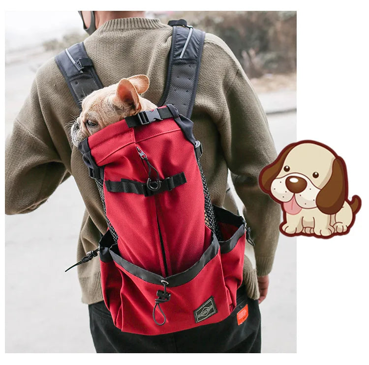 Rugpakstyltoerusting om items te dra tydens reis of terwyl bestuur, spesiaal ontwerp vir Samojeedhonde en Beaglehonde