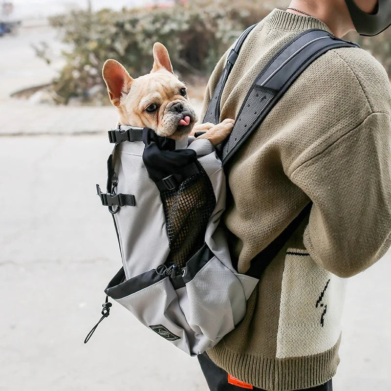 Rugpakstyltoerusting om items te dra tydens reis of terwyl bestuur, spesiaal ontwerp vir Samojeedhonde en Beaglehonde