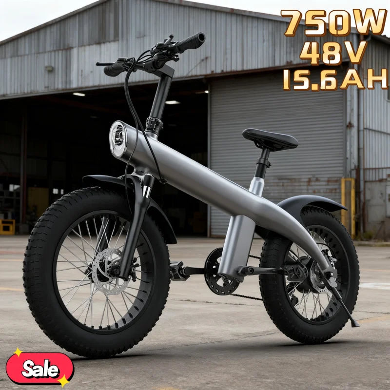 High-performance electric bicycle, 20-inch wide tire for leisure and entertainment, safe and durable 750W 48V15.6AH adult E-bike