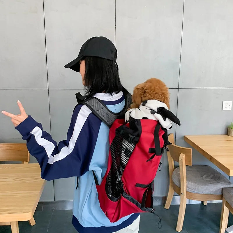 Backpack-style equipment for carrying items during travel or while driving, specially designed for Samoyed dogs and Beagle dogs