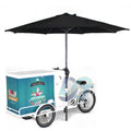 Ice Cart with Freezer Bike 200L Ice Cream Bike Cart Tricycle for Sale