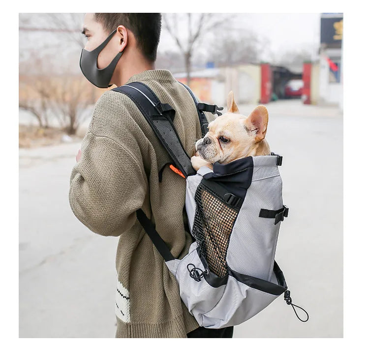 Rugpakstyltoerusting om items te dra tydens reis of terwyl bestuur, spesiaal ontwerp vir Samojeedhonde en Beaglehonde