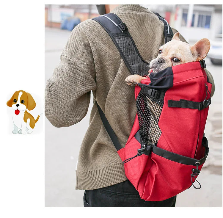 Rugpakstyltoerusting om items te dra tydens reis of terwyl bestuur, spesiaal ontwerp vir Samojeedhonde en Beaglehonde