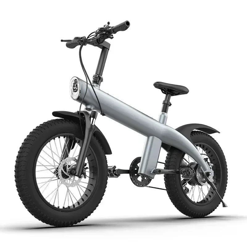 High-performance electric bicycle, 20-inch wide tire for leisure and entertainment, safe and durable 750W 48V15.6AH adult E-bike