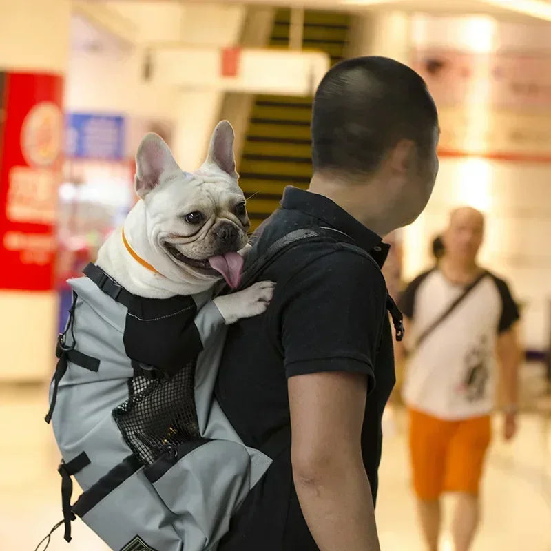 Adjustable Durable Dog Backpack Carrier Breathable Large Size Outdoor Bag Hiking Camping Travel Use for Medium Large Pet Breeds