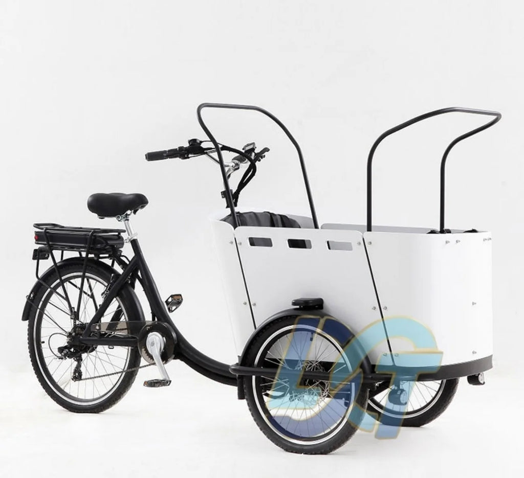 Elektriese vragfiets vragfiets word gebruik vir familie 3-wiel fiets om kinders te dra