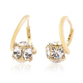 1 Pair Lymphvity Magnetherapy Germanium Earrings Lymphatic Magnetic Therapy Luxury Earrings for Women Weight Loss