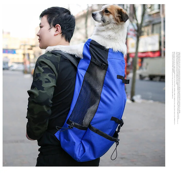Rugpakstyltoerusting om items te dra tydens reis of terwyl bestuur, spesiaal ontwerp vir Samojeedhonde en Beaglehonde