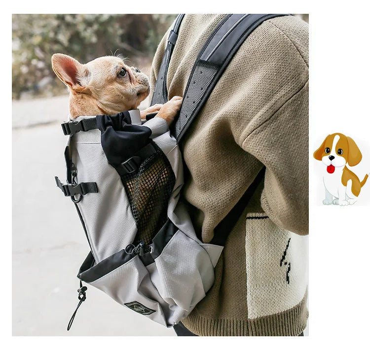 Rugpakstyltoerusting om items te dra tydens reis of terwyl bestuur, spesiaal ontwerp vir Samojeedhonde en Beaglehonde