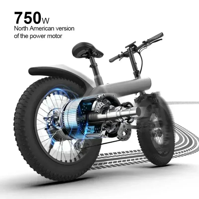 High-performance electric bicycle, 20-inch wide tire for leisure and entertainment, safe and durable 750W 48V15.6AH adult E-bike