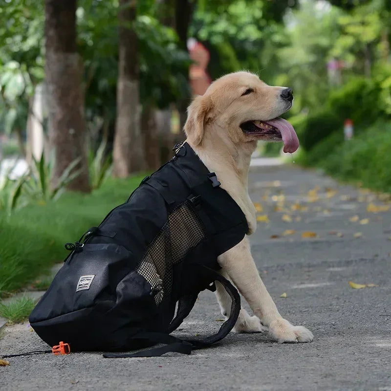 Adjustable Durable Dog Backpack Carrier Breathable Large Size Outdoor Bag Hiking Camping Travel Use for Medium Large Pet Breeds