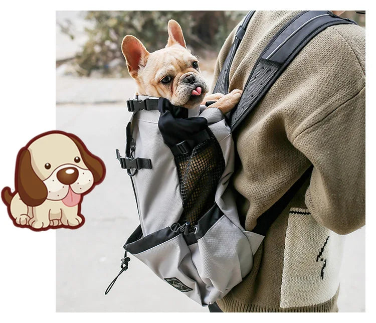 Rugpakstyltoerusting om items te dra tydens reis of terwyl bestuur, spesiaal ontwerp vir Samojeedhonde en Beaglehonde