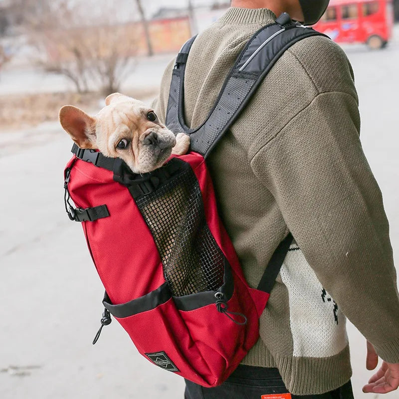 Backpack-style equipment for carrying items during travel or while driving, specially designed for Samoyed dogs and Beagle dogs