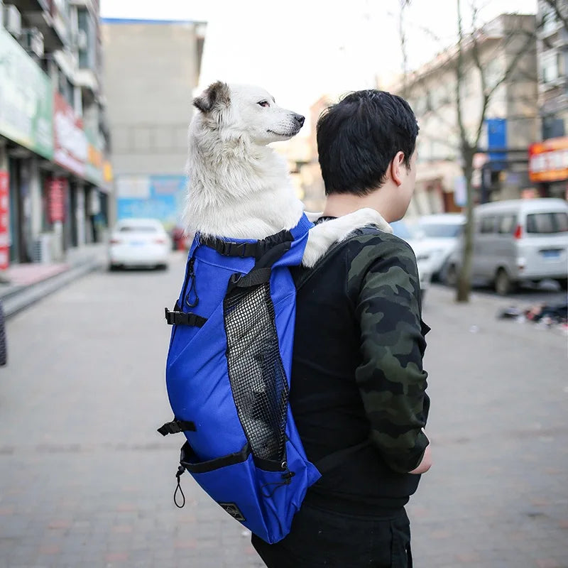 Backpack-style equipment for carrying items during travel or while driving, specially designed for Samoyed dogs and Beagle dogs
