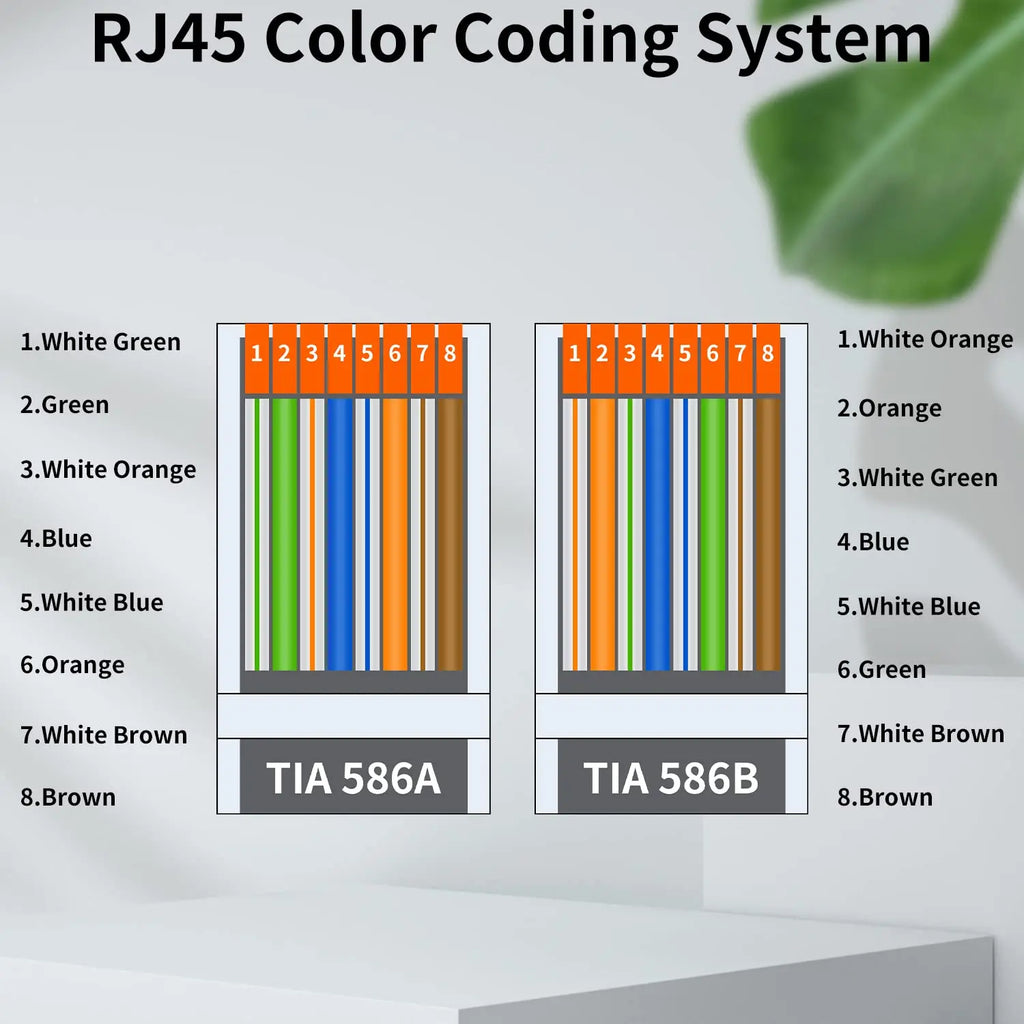 ZoeRax 50pcs Cat6 RJ45 Ends Cat6 Connector, Cat6 / Cat5e RJ45 Connector, Ethernet Cable Crimp Connectors UTP Network Plug