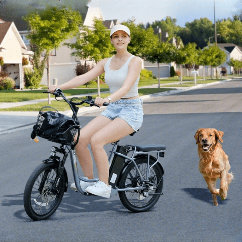 [Electric Scooter, 500W] 500W Electric Scooter, 48V Removable Lithium Battery, Max Range 25 Miles, 20MPH with Seat, with Basket, with Rear Seat, Rear Seat Max Load 110lbs, Shock Absorption, Christmas and New Year Birthday Gif