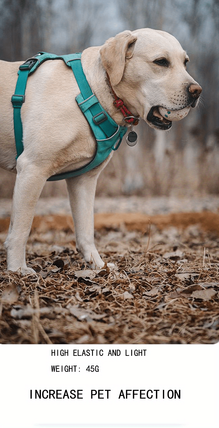 Dog Ball Toys For Aggressive Chewers - Durable And Interactive Pet Balls For Endless Fun And Exercise