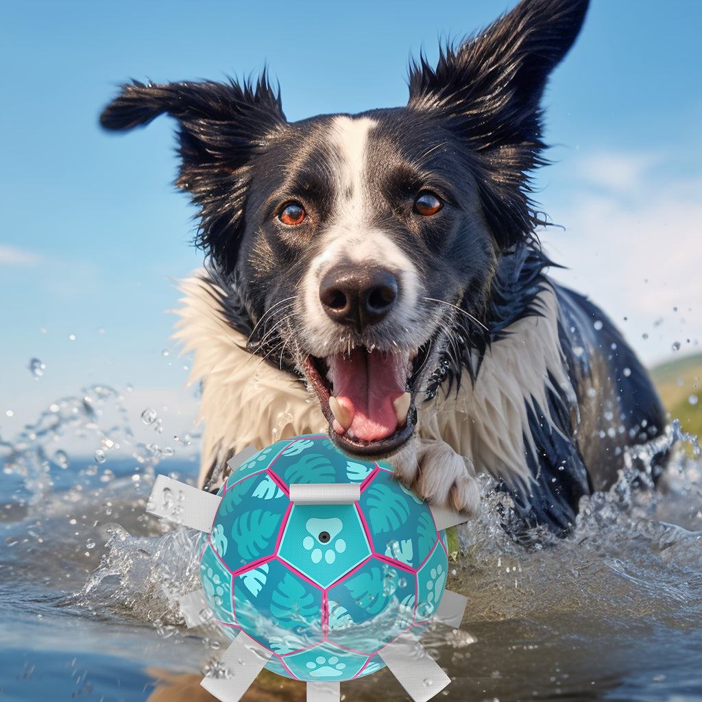 [Interactive Football Dog Toys] Durable Lake Blue Dog Toys Soccer Balls with Straps | Interactive Football for Tug of War | Indoor/Outdoor Puppy Toy for Small/Medium Breed