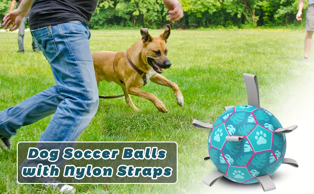 [Interactive Football Dog Toys] Durable Lake Blue Dog Toys Soccer Balls with Straps | Interactive Football for Tug of War | Indoor/Outdoor Puppy Toy for Small/Medium Breed